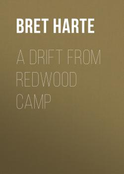 Читать A Drift from Redwood Camp - Bret Harte