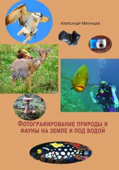 Читать Фотографирование природы и фауны на земле и под водой - Александр Матанцев