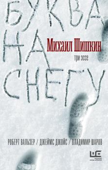 Читать Буква на снегу - Михаил Шишкин