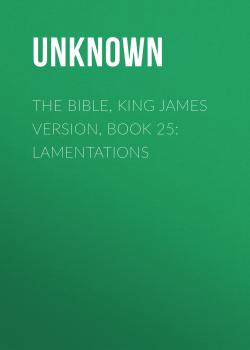Читать The Bible, King James version, Book 25: Lamentations - Unknown