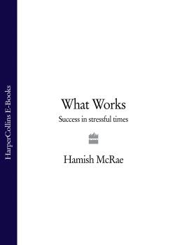 Читать What Works: Success in Stressful Times - Hamish  McRae