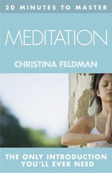 Читать 20 MINUTES TO MASTER … MEDITATION - Christina  Feldman