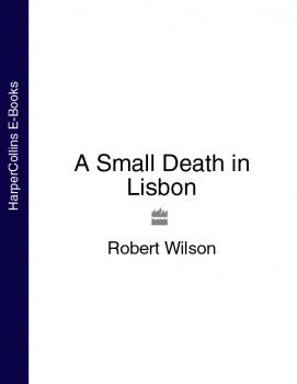 Читать A Small Death in Lisbon - Robert Thomas Wilson