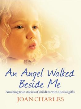Читать An Angel Walked Beside Me: Amazing stories of children who touch the other side - Joan  Charles