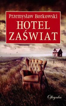 Читать Hotel Zaświat - Przemysław Borkowski
