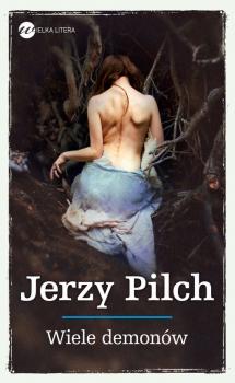 Читать Wiele demonów - Jerzy Pilch