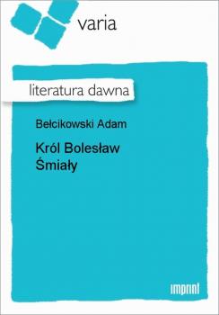Читать Król Bolesław Śmiały - Adam Bełcikowski