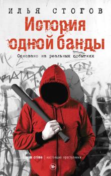 Читать История одной банды - Илья Стогов