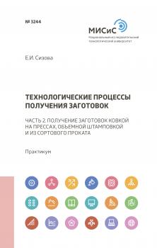 Читать Технологические процессы получения заготовок - Е. И. Сизова