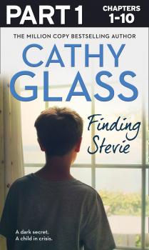 Читать Finding Stevie: Part 1 of 3: A teenager in crisis - Cathy  Glass