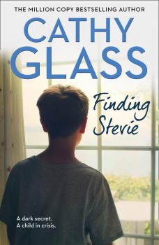Читать Finding Stevie: A teenager in crisis - Cathy  Glass