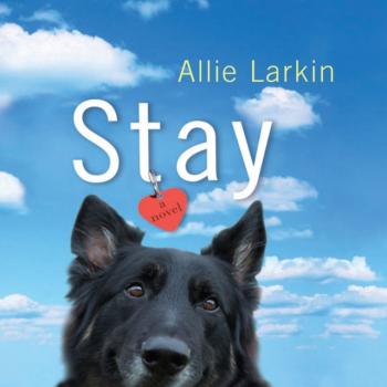 Читать Stay - Allie Larkin