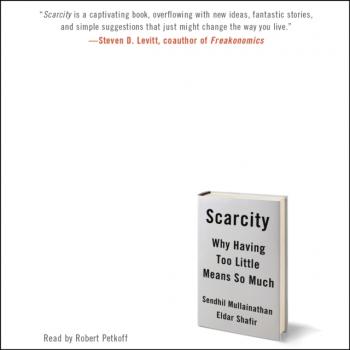 Читать Scarcity - Sendhil  Mullainathan