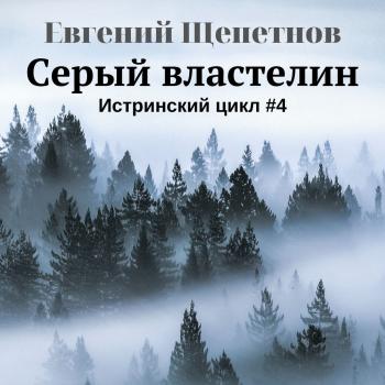 Читать Серый властелин - Евгений Щепетнов