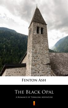 Читать The Black Opal - Fenton Ash