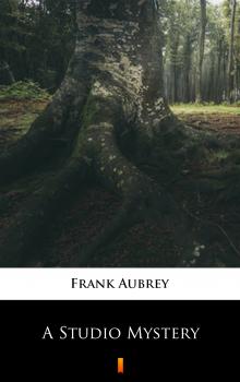 Читать A Studio Mystery - Aubrey Frank