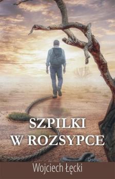 Читать Szpilki w rozsypce - Wojciech Łęcki