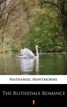 Читать The Blithedale Romance - Hawthorne Nathaniel