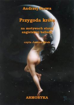Читать Przygoda króla - Andrzej Sarwa