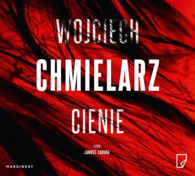 Читать Cienie - Wojciech Chmielarz