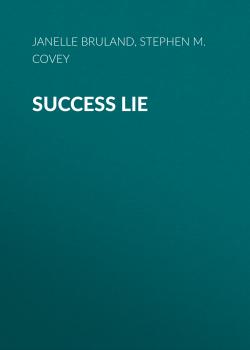 Читать Success Lie - Janelle Bruland