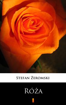 Читать Róża - Stefan Żeromski