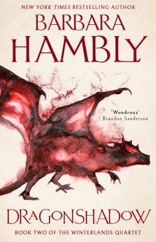 Читать Dragonshadow - Barbara  Hambly