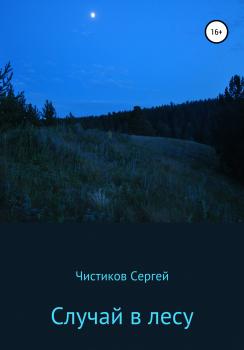 Читать Случай в лесу - Сергей Фёдорович Чистиков