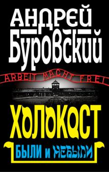 Читать Холокост. Были и небыли - Андрей Буровский