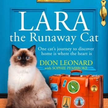 Читать Lara The Runaway Cat - Sophie Pembroke