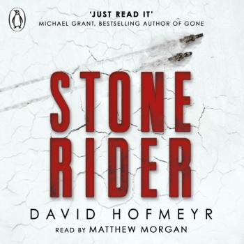 Читать Stone Rider - Дэвид Хофмейр