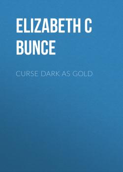 Читать Curse Dark as Gold - Elizabeth C Bunce