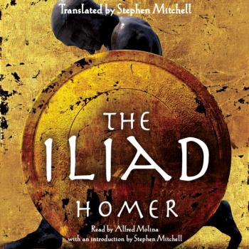 Читать Iliad - Homer