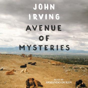 Читать Avenue of Mysteries - John Irving