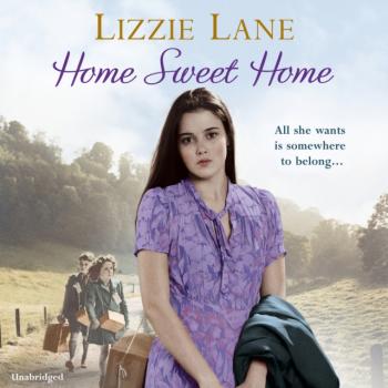 Читать Home Sweet Home - Lizzie Lane