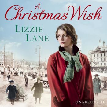 Читать Christmas Wish - Lizzie Lane