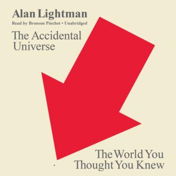 Читать Accidental Universe - Alan  Lightman