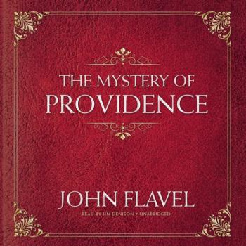 Читать Mystery of Providence - John Flavel