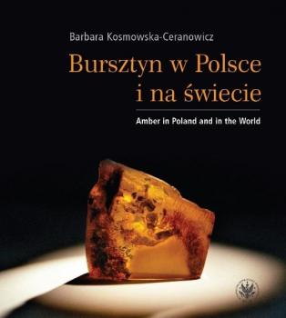 Читать Bursztyn w Polsce i na Å›wiecie - Barbara Kosmowska-Ceranowicz
