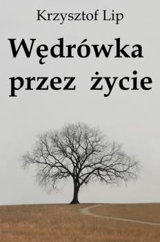 Читать WÄ™drÃ³wka przez Å¼ycie - Krzysztof Lip