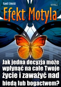 Читать Efekt Motyla - Kamil Cebulski