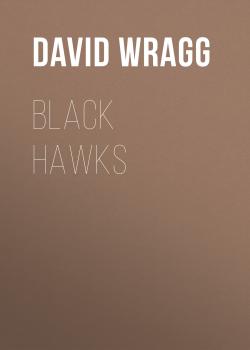 Читать Black Hawks (Articles of Faith, Book 1) - David Wragg