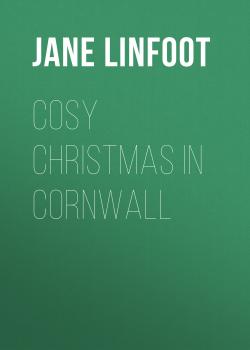 Читать Cosy Christmas in Cornwall - Jane Linfoot