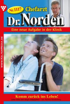 Читать Chefarzt Dr. Norden 1117 â€“ Arztroman - Patricia  Vandenberg