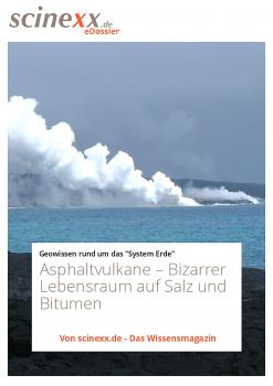 Читать Asphaltvulkane - Dieter  Lohmann