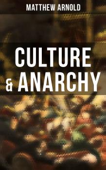 Читать Culture & Anarchy - Arnold Matthew