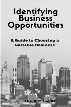 Читать Identifying Business Opportunities - Anthony  Ekanem