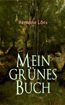 Читать Mein grünes Buch - Löns Hermann