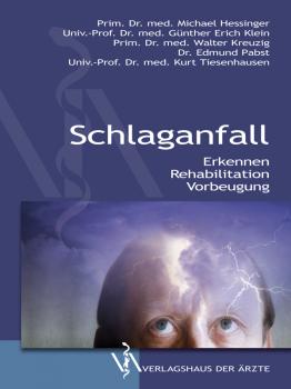 Читать Schlaganfall - Michael  Hessinger