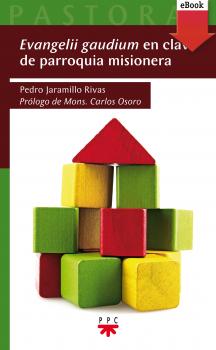 Читать Evangelii gaudium en clave de parroquia misionera - Pedro Jaramillo Rivas